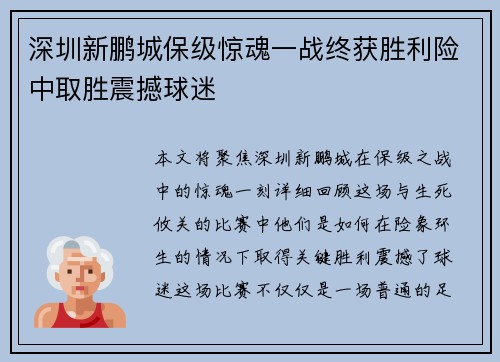 深圳新鹏城保级惊魂一战终获胜利险中取胜震撼球迷